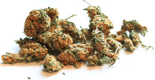 Weed GIF - Cannabis Weed Addicted GIFs