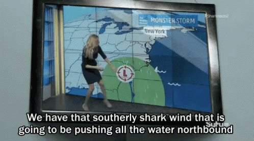 We Have That Southerly Shark Wind GIF - Weather Sharknado Forecast GIFs