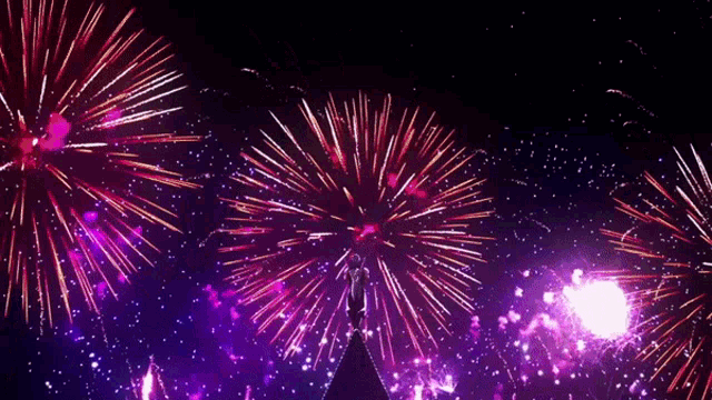 a person standing in front of a firework display