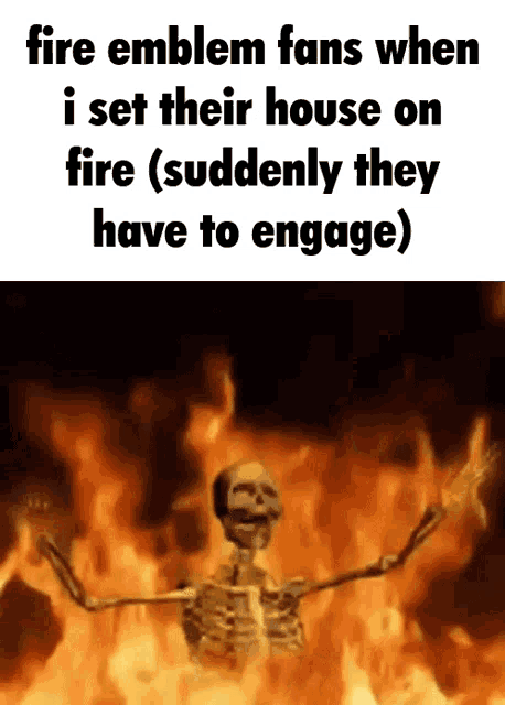 Fire Emblem Fans GIF