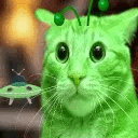 a green cat is wearing a green hat with antennas and a flying saucer in the background .