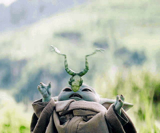 a baby yoda with a bug on its head