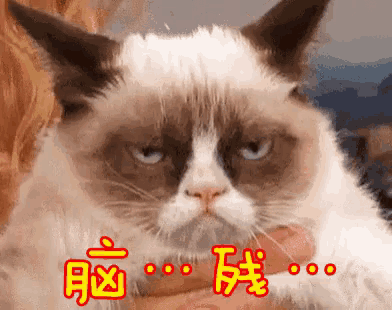a grumpy cat is being held by a person and has chinese writing on it