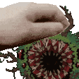 a pixelated image of a hand reaching out towards a plant