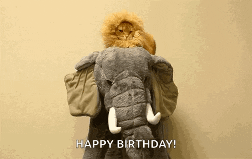 a cat in a lion costume is sitting on top of an elephant stuffed animal .