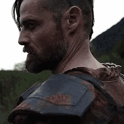 a man with a beard and armor is standing in a field and looking over his shoulder .