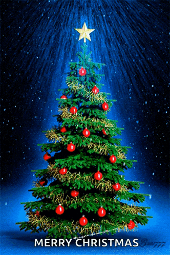 a merry christmas card with a christmas tree and a star