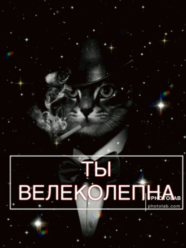 a cat wearing a top hat and bow tie smoking