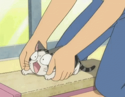 Anime Cat GIF - Anime Cat Cute GIFs