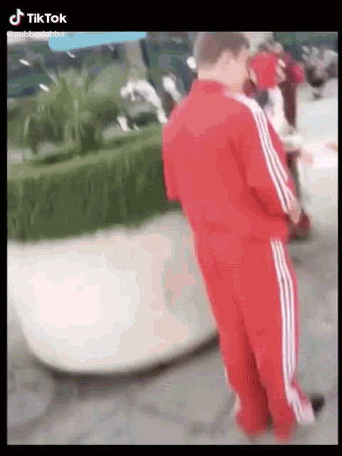 a man in a red adidas tracksuit is standing in front of a potted plant .
