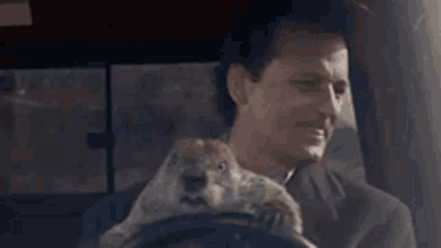 a man in a suit is driving a car with a dog on the steering wheel .