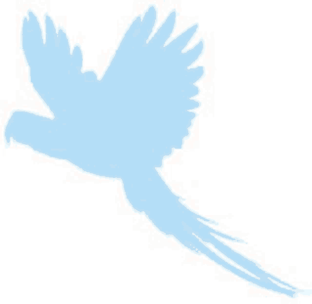 a blue silhouette of a parrot flying in the sky .