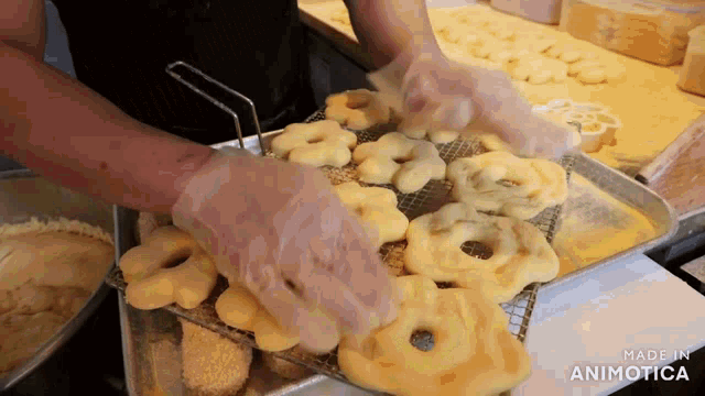 a person is putting donuts on a cooling rack and the words made in animatica are on the bottom of the screen