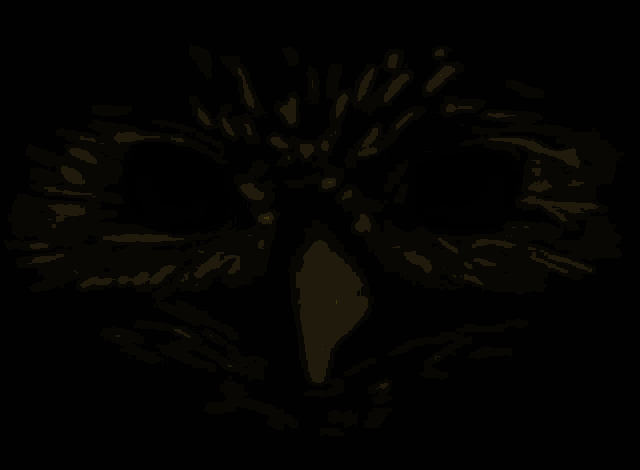 a close up of a black owl 's face with bright yellow eyes