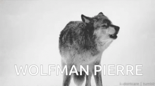 Wolf Wolfman GIF - Wolf Wolfman Pierre GIFs