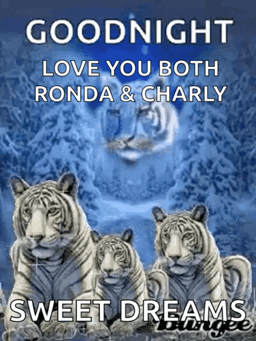 a picture of three white tigers says goodnight love you both ronda & charly