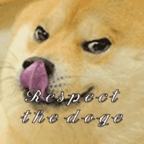 Doge Respe GIF - Doge Respe Lick GIFs