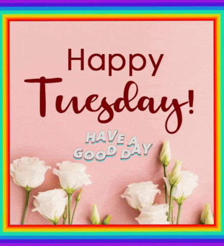 a pink background with white flowers and the words happy tuesday