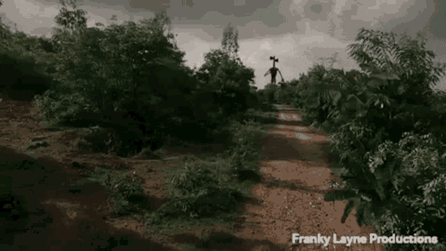 franky layne productions has a video of a siren head