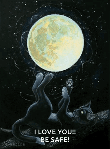 Bonne Nuit Moon GIF - Bonne Nuit Moon Black Cat GIFs