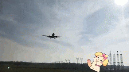 Brusselsairlines Airplane GIF - Brusselsairlines Airplane Haveaniceflight GIFs