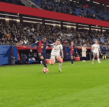 a group of soccer players are playing on a field with a crowd watching