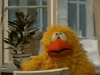 a yellow stuffed animal with an orange beak is sitting in front of a window
