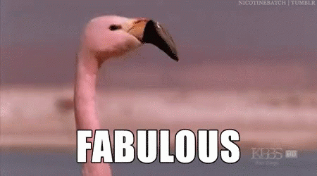 Fabulous Flamingow GIF - Fabulous Flamingow Wiggle GIFs