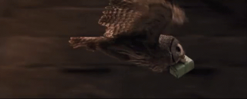 Delivery Harry Potter GIF - Delivery Harry Potter Mail GIFs