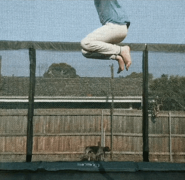 a person is jumping on a trampoline with a dog behind them