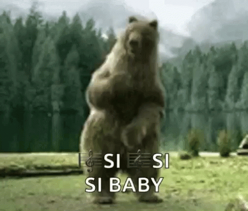 Bear Dance Dancing GIF - Bear Dance Dancing Lit GIFs