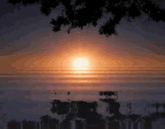 Boa Noite Sunset GIF - Boa Noite Sunset Water GIFs