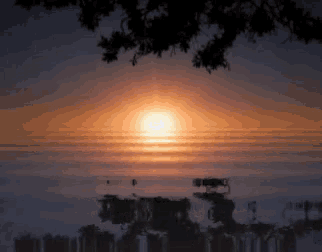 a sunset over a body of water with trees in the background