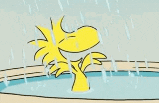 woodstock is taking a bath in the rain in a bathtub .
