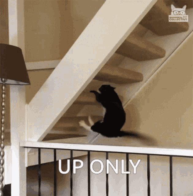 Uponly Bitcoin Up GIF - Uponly Bitcoin Up GIFs