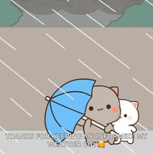 a cartoon cat is holding an umbrella in the rain and says thanks for keeping me informed ! my weather guy .