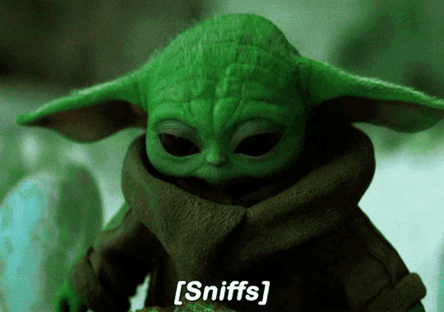 a green stuffed animal with the words sniffs written below it