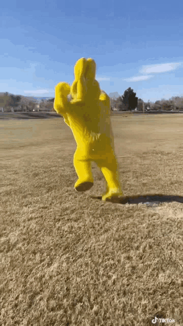 a yellow stuffed animal is flying through the air in a field .