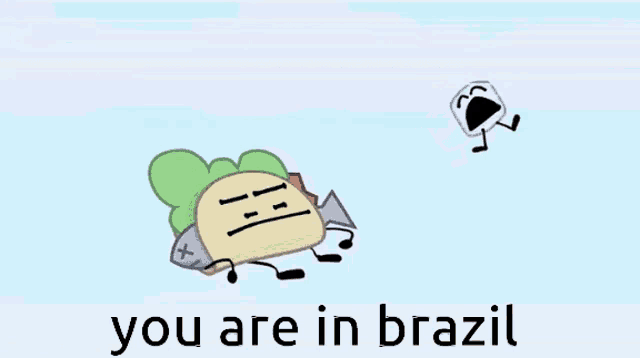 You Are In Brazil In Animate Insanity GIF