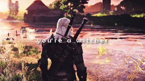 Geralt Youre GIF - Geralt Youre Witcher GIFs