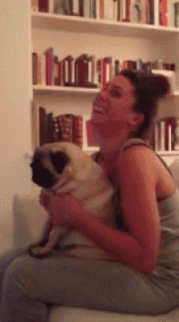 a woman is holding a pug dog and laughing