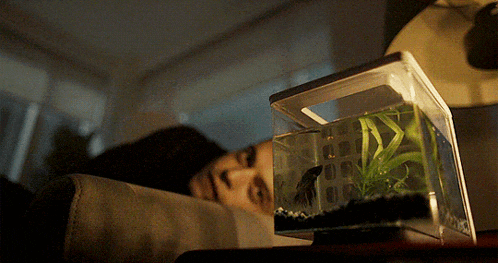 a small fish tank sits on a table next to a person laying on a couch