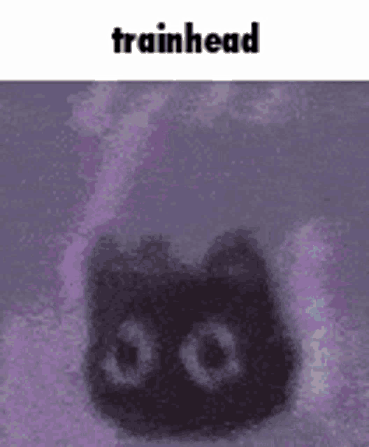 a picture of a black cat with a purple background and the words trainhead above it .