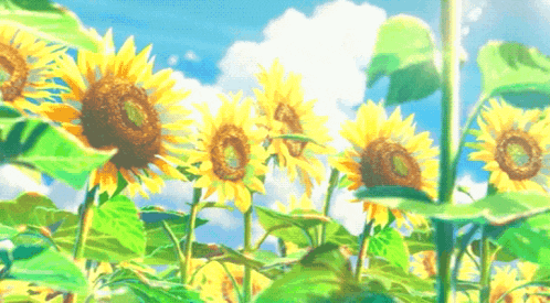a field of sunflowers with a blue sky and clouds in the background