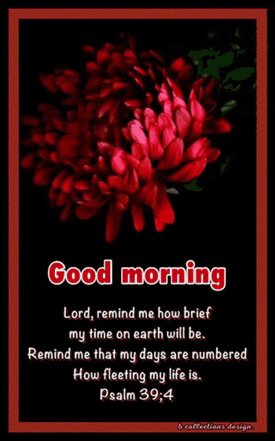 Morning Good GIF
