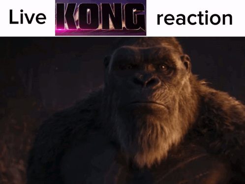 Live Kong Reaction Godzilla X Kong The New Empire GIF - Live Kong Reaction Godzilla X Kong The New Empire Godzilla Vs Kong GIFs