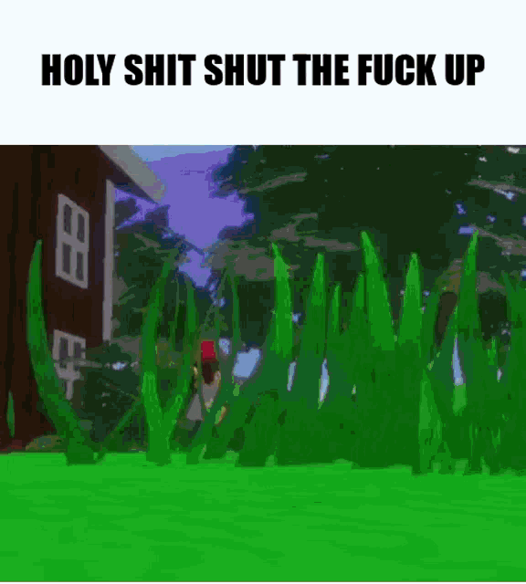 a cartoon of a person standing in a grassy field with the words holy shit shut the fuck up above them