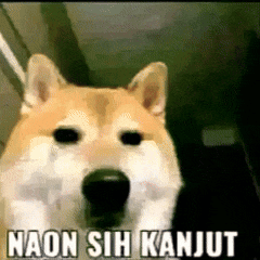 a dog with the words naon sih kanjut on it 's face .