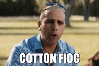 a man wearing sunglasses and a plaid shirt is standing in a park and says `` cotton fioc '' .