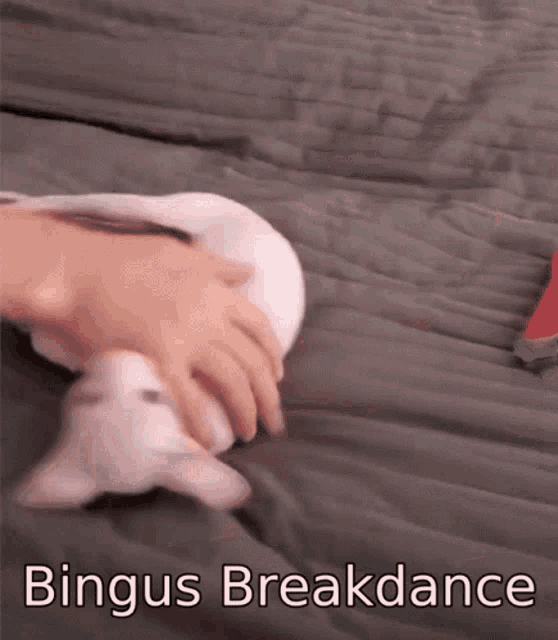 a person is petting a white cat on a bed with the words " bingus breakdance " on the bottom